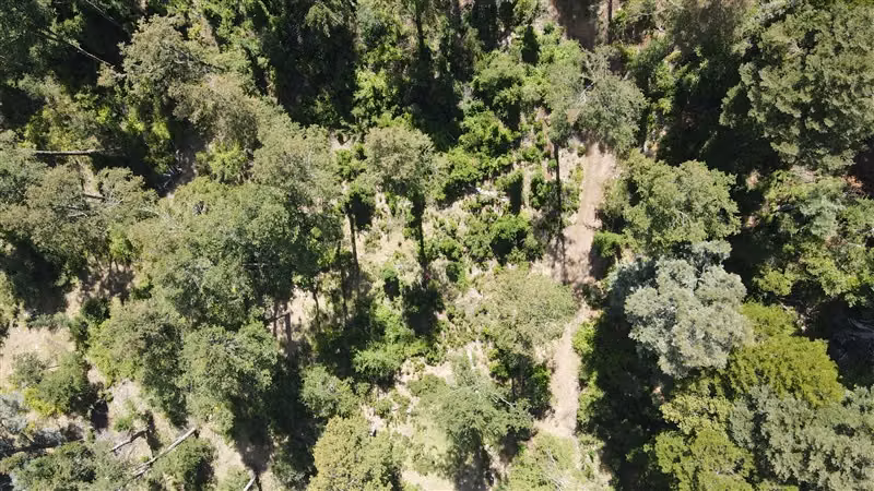 Parcela en venta de 5000 M2 con dos casas nuevas