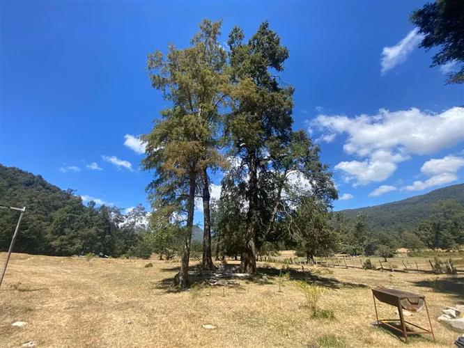 Parcela en venta de 5000 M2 con dos casas nuevas