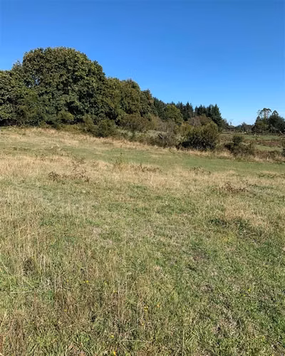 Pucon-Los Riscos- Parcela con vista al lago y volcan
