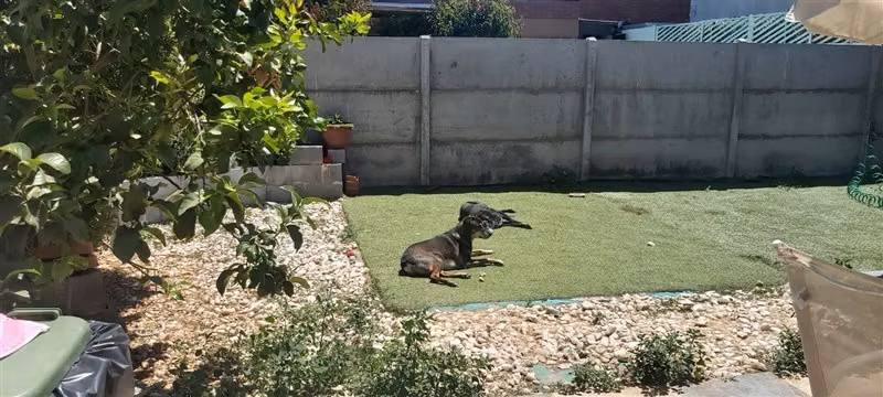 Venta de Amplia Casa esquina Condominio Valle Araucaria-Buin