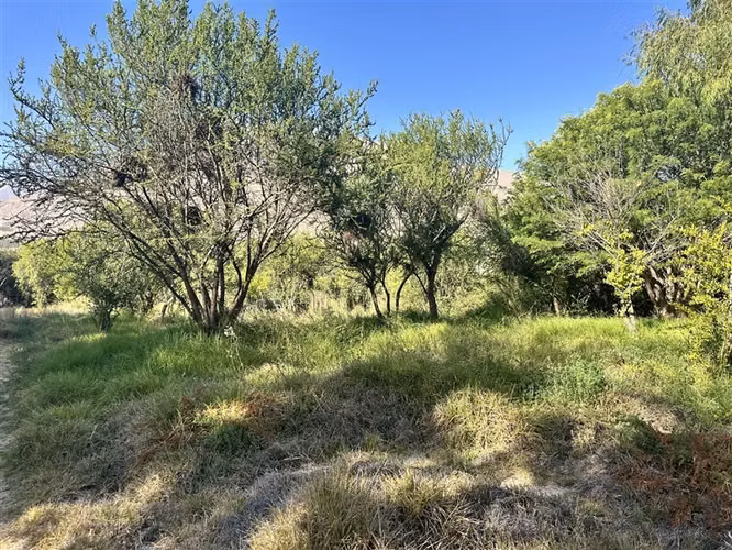 Parcela en venta en Vicuña, sector El Durazno, 4 dormitorios