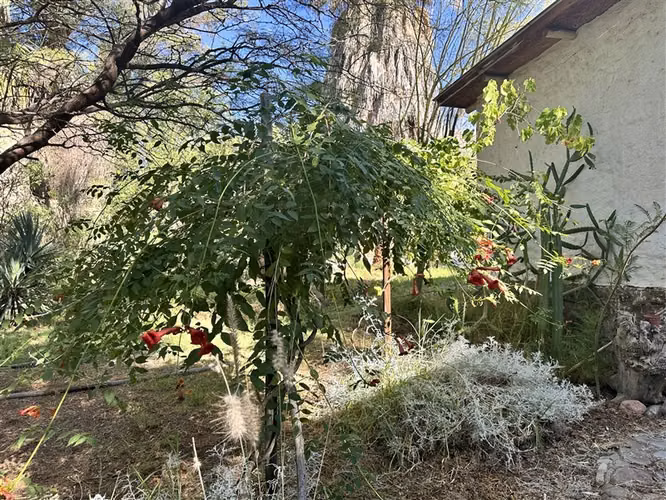 Parcela en venta en Vicuña, sector El Durazno, 4 dormitorios