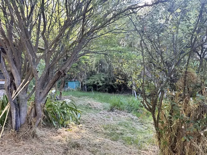 Parcela en venta en Vicuña, sector El Durazno, 4 dormitorios