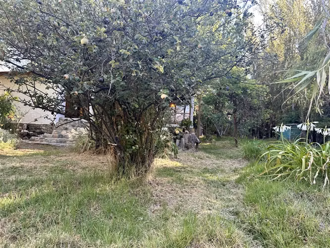 Parcela en venta en Vicuña, sector El Durazno, 4 dormitorios