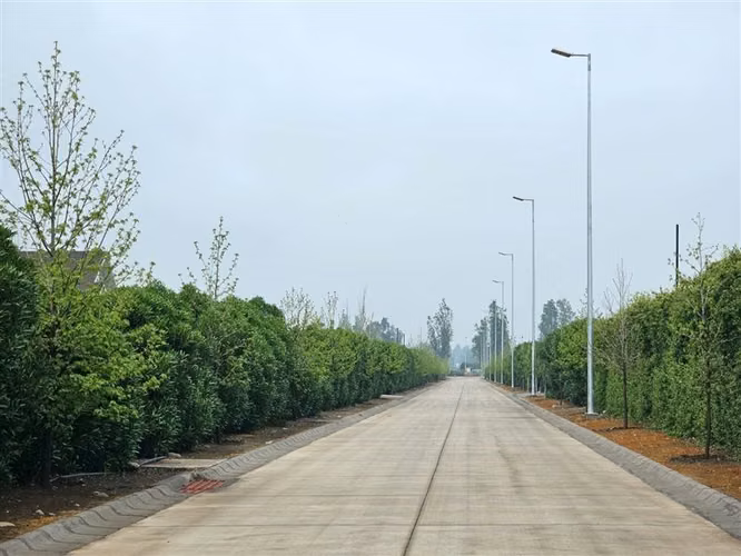 Sitio en Venta en Colina