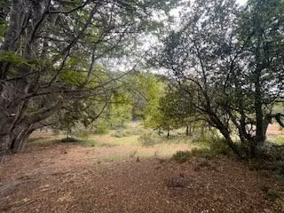 Extraordinario sitio en venta orilla lago Alto en Río Ibáñez