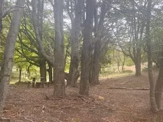 Extraordinario sitio en venta orilla lago Alto en Río Ibáñez