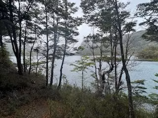 Extraordinario sitio en venta orilla lago Alto en Río Ibáñez