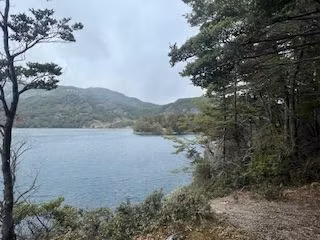 Extraordinario sitio en venta orilla lago Alto en Río Ibáñez
