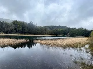 Extraordinario sitio en venta orilla lago Alto en Río Ibáñez