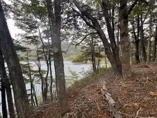 Extraordinario sitio en venta orilla lago Alto en Río Ibáñez