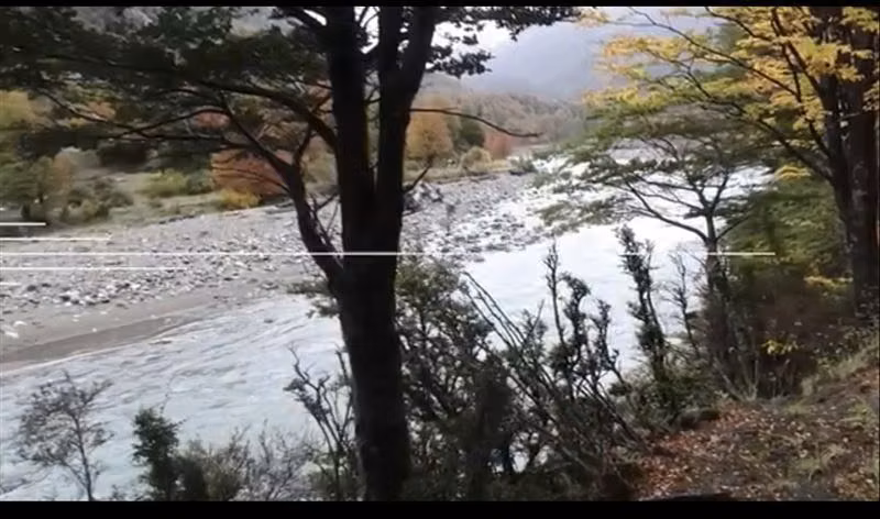 Bajó precio. Aysén Campo 240 hect bosque nativo orilla rio