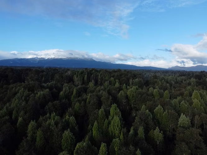 Parcela en Venta en Puerto Varas - Imagen 5