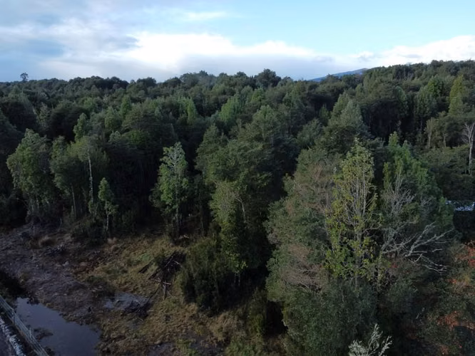 Parcela en Venta en Puerto Varas - Imagen 4