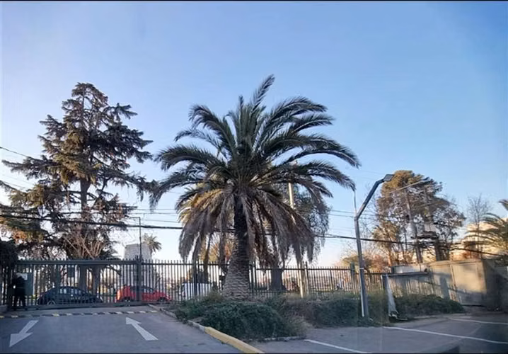 Local Comercial en arriendo en Maipú