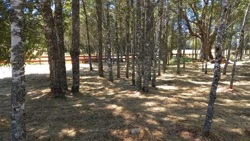 Lindas parcelas rodeadas de bosque nativo cerca de Cunco
