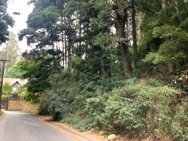 Lindo sitio en excelente ubic en cerro La Virgen Concepción
