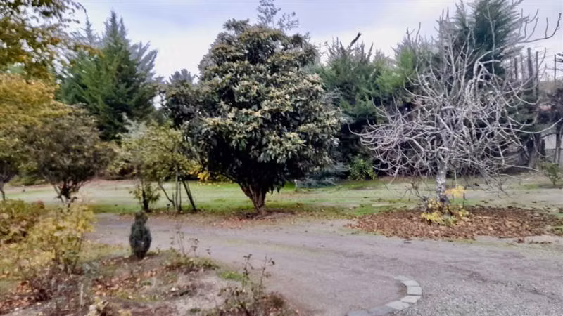 Parcela en venta en Quillón - Imagen 20