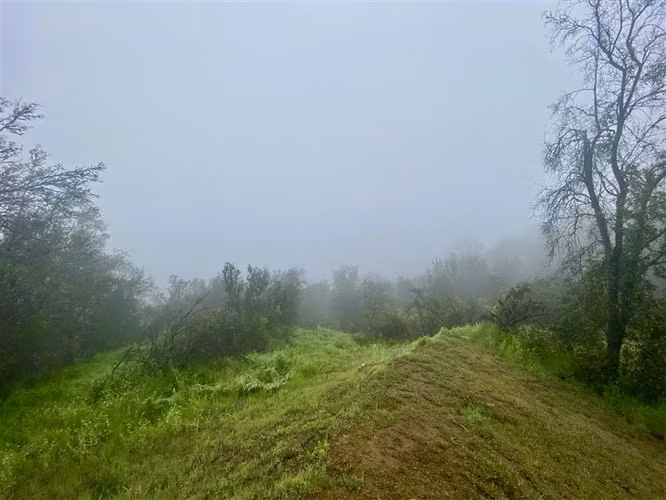Parcela en venta en Curacaví - Imagen 13