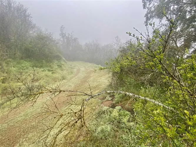 Parcela en venta en Curacaví - Imagen 8