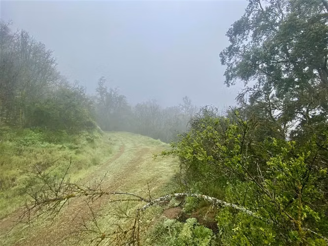 Parcela en venta en Curacaví - Imagen 12