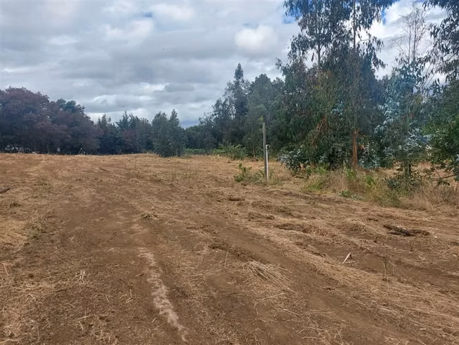 SE VENDE TERRENO ALTO LAS CRUCES CONDOMINIO LOS MANZANOS