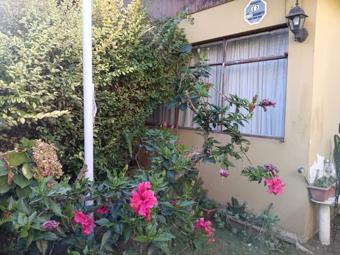 1 piso, Chorrillos, 3 D, 1 B, estar, patio (155581)