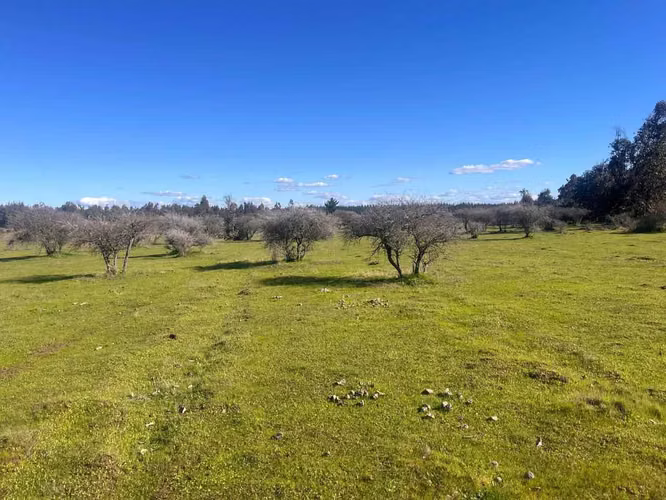 parcelas de 5000m2 en san nicolas ñuble  (155660)