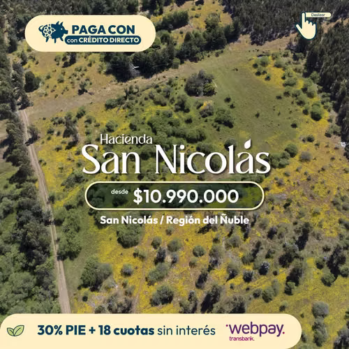 parcelas de 5000m2 en san nicolas ñuble  (155660)