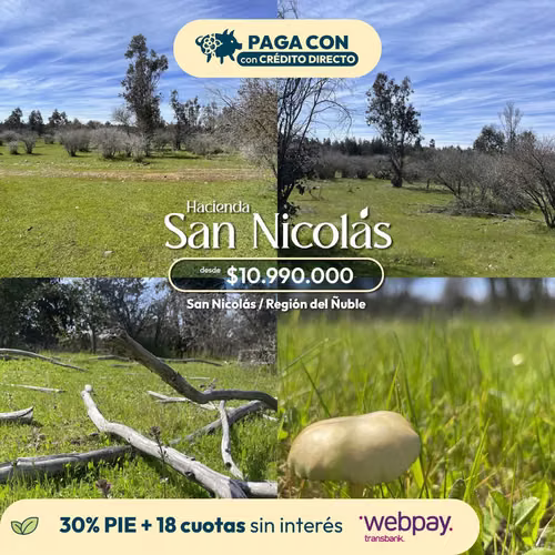 parcelas de 5000m2 en san nicolas ñuble  (155660)
