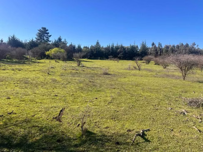parcelas de 5000m2 en san nicolas ñuble  (155660)