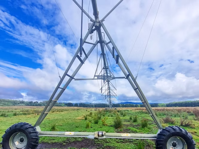 venta de campo agricola