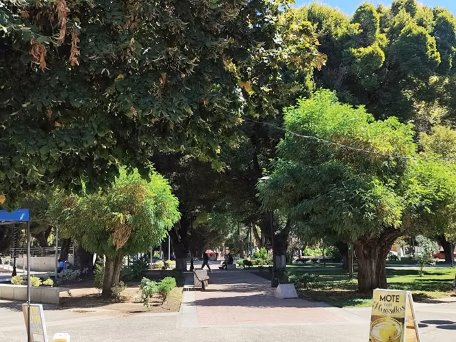 Parcela CAMINO PRINCIPAL LONGAVI / PLAZA LONGAVI - Imagen 6