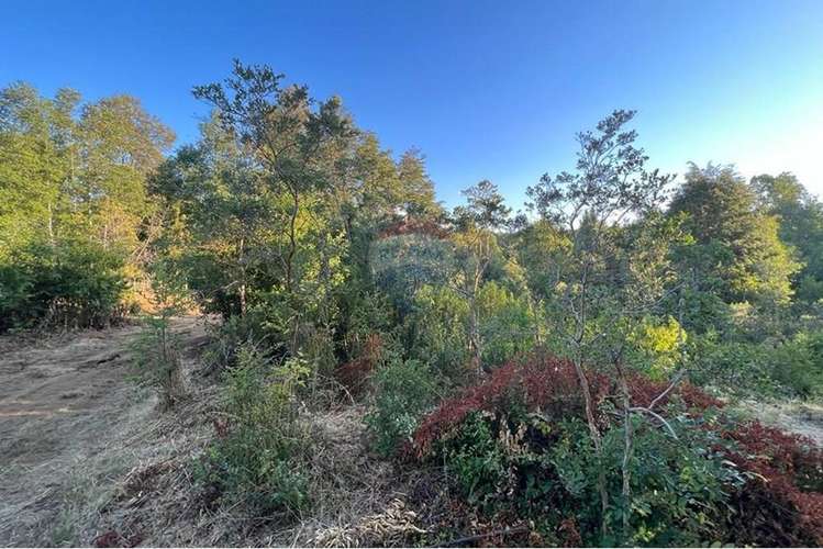 Venta de parcela en pucón. vista al lago.
