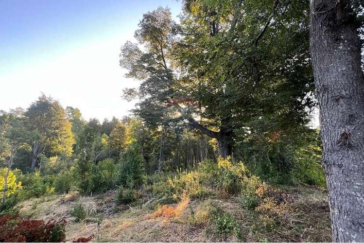 Venta de parcela en pucón. vista al lago.