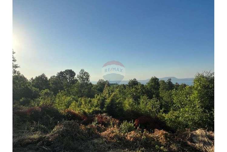 Venta de parcela en pucón. vista al lago.