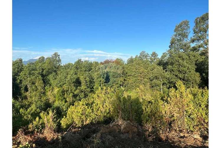 Venta de parcela en pucón. vista al lago.
