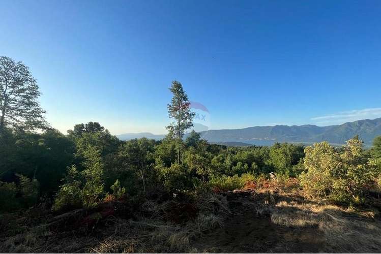 Venta de parcela en pucón. vista al lago.