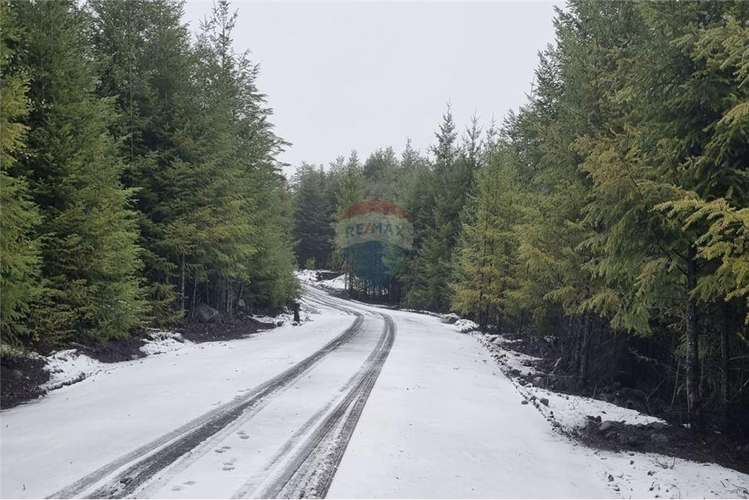 Pucon se vende parcelas de lujo en candelaria.