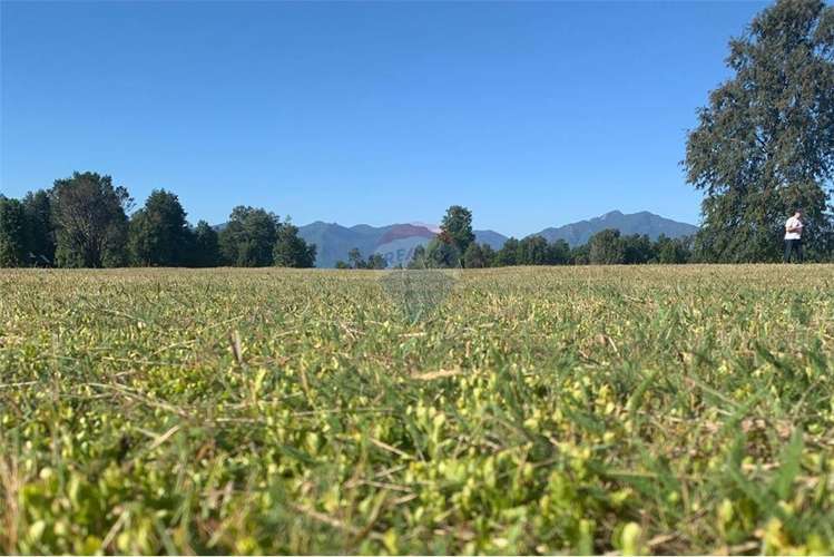 Pucon se vende parcelas de lujo en candelaria.
