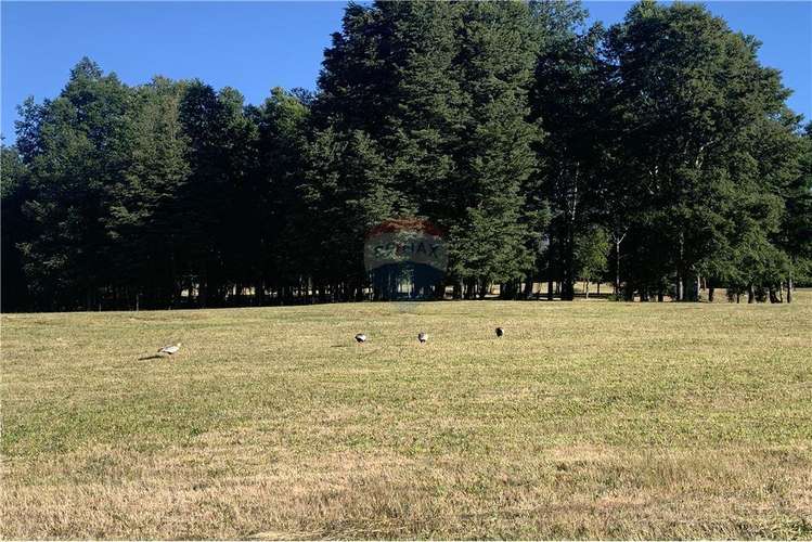 Pucon se vende parcelas de lujo en candelaria.