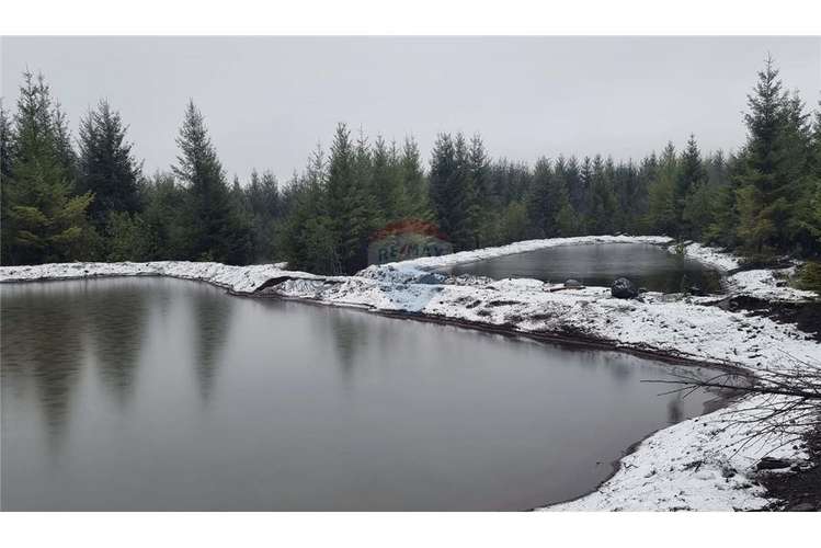 Pucon se vende parcelas de lujo en candelaria.