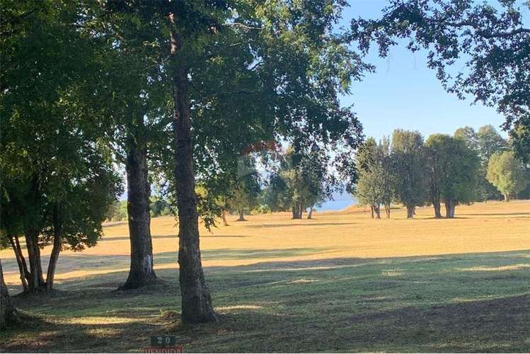 Pucon se vende parcelas de lujo en candelaria.