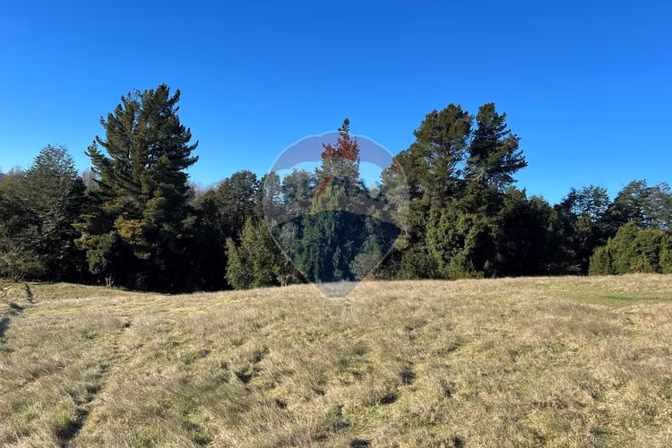 Venta de hermoso terreno 5000 mt2 en villarrica