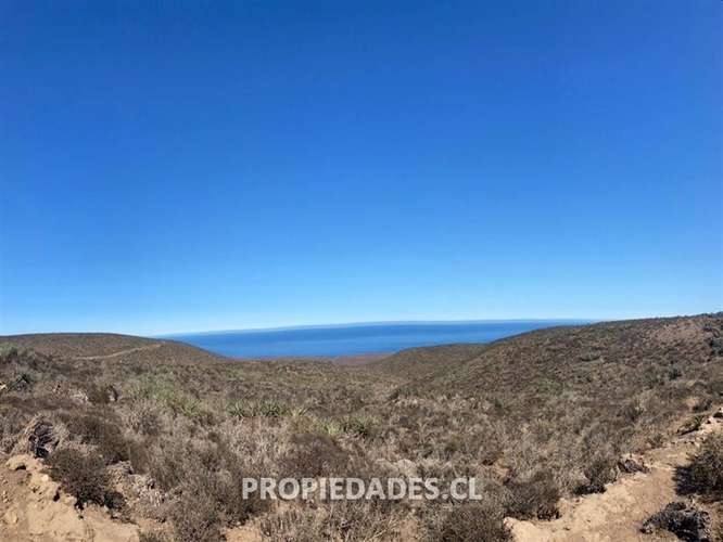 Parcela de 5.000 m2 con vista al mar - Imagen 5
