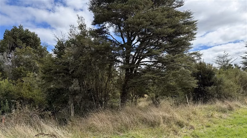 Parcela en venta en Puerto Montt
