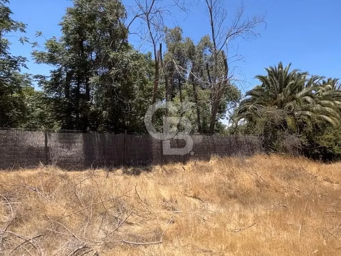 Terreno Lo Arcaya Chicureo Norte / Excelente ubicación