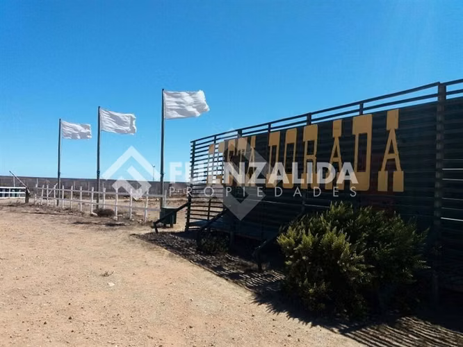 vende! Terreno 5.000 m2, cercano a La Serena, Ovalle.