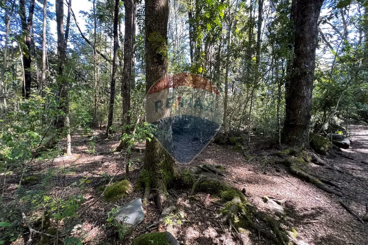 Parcela con orilla de camino al volcán, pucón