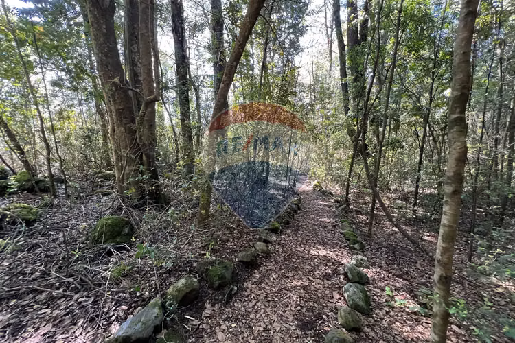 Parcela con orilla de camino al volcán, pucón